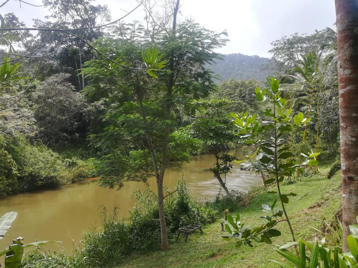 Sinharaja Vini Villa Deniyaya Exterior foto