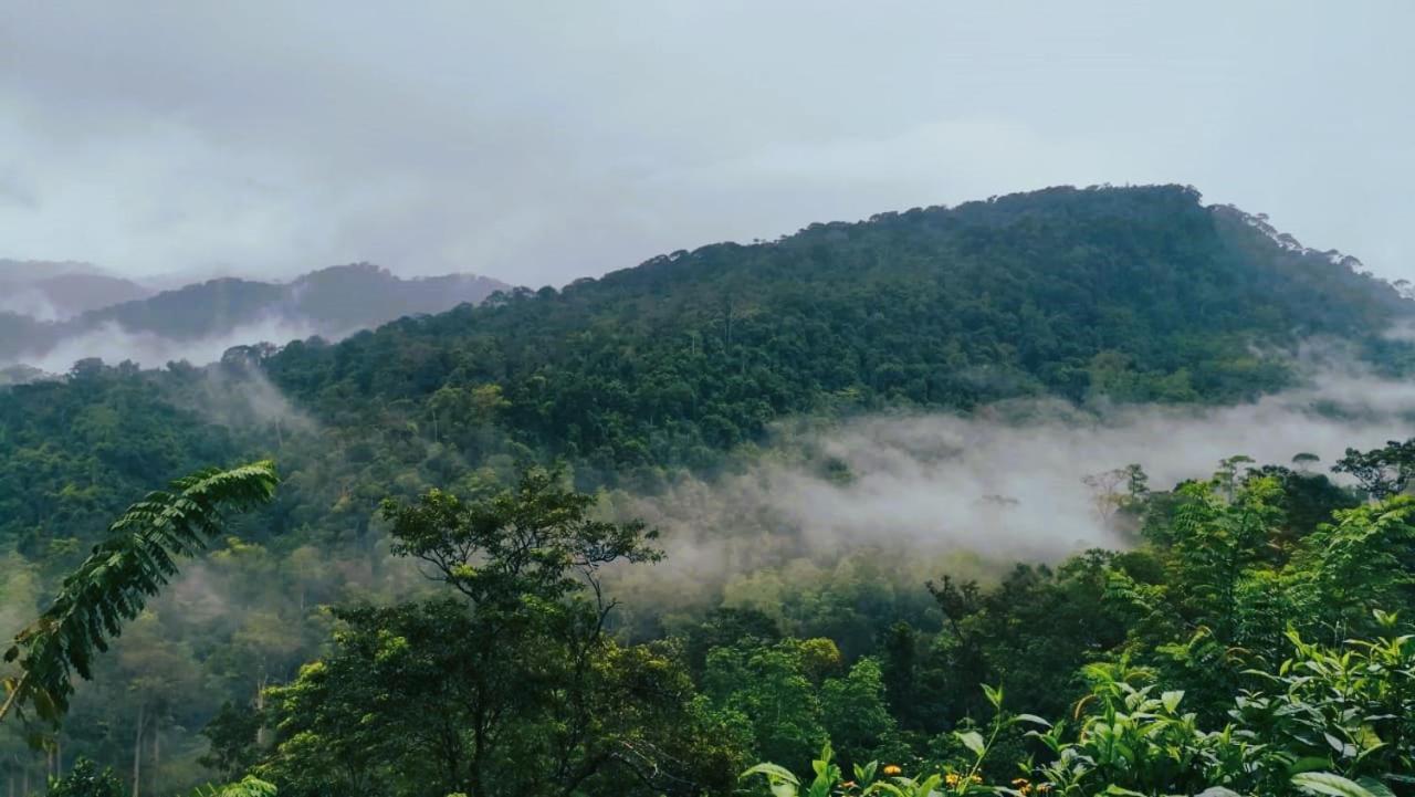 Sinharaja Vini Villa Deniyaya Exterior foto